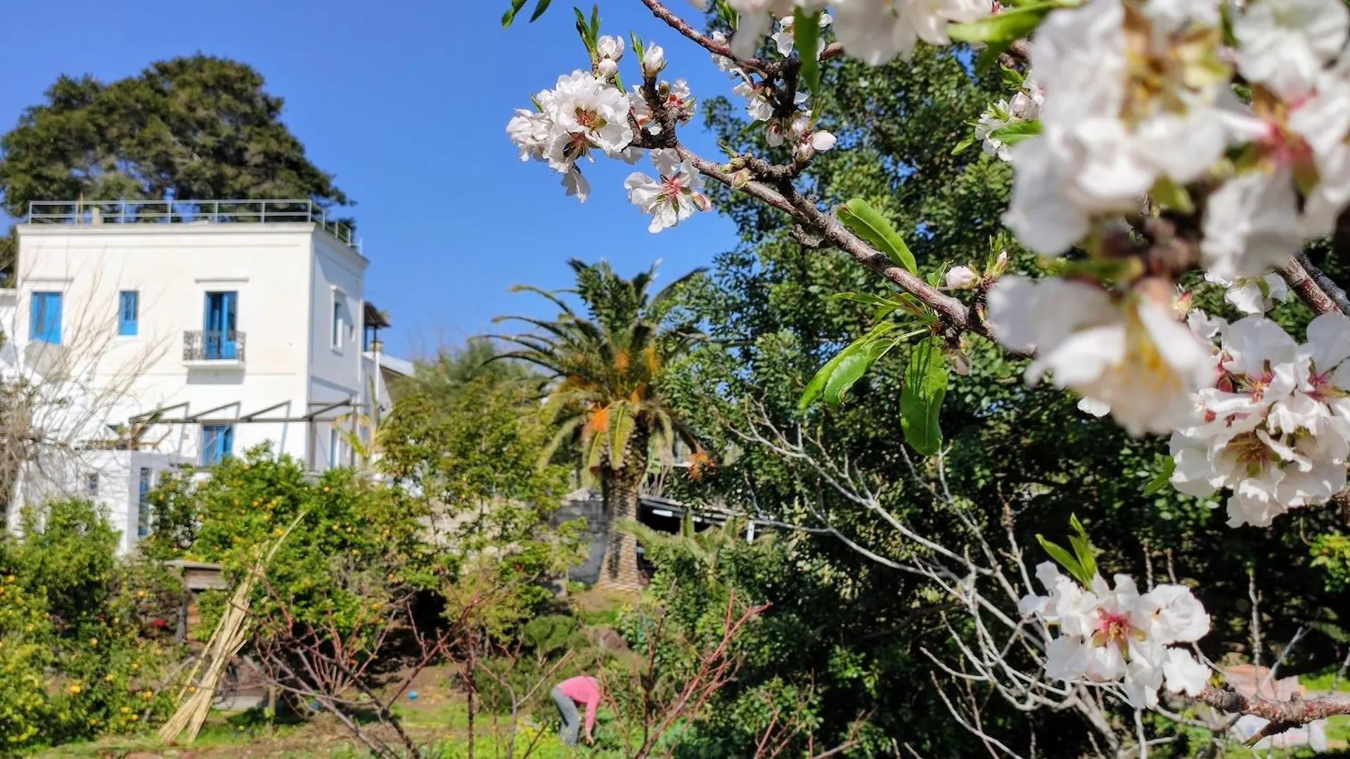 Ferienwohnung La Casa Di Nonna Ida Stromboli 0*,